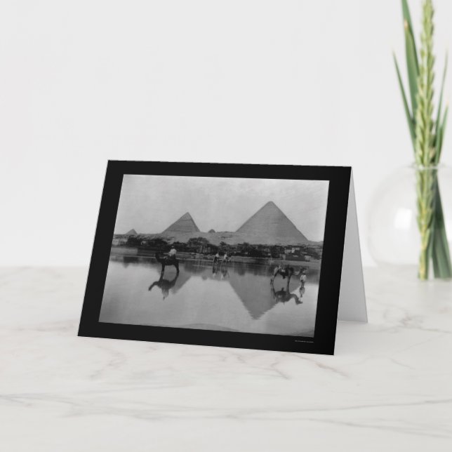 Camels and Pyramids in Egypten 1899 Kort (Framsida)