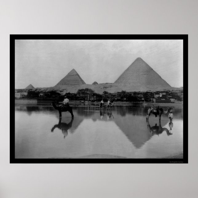 Camels and Pyramids in Egypten 1899 Poster (Framsidan)