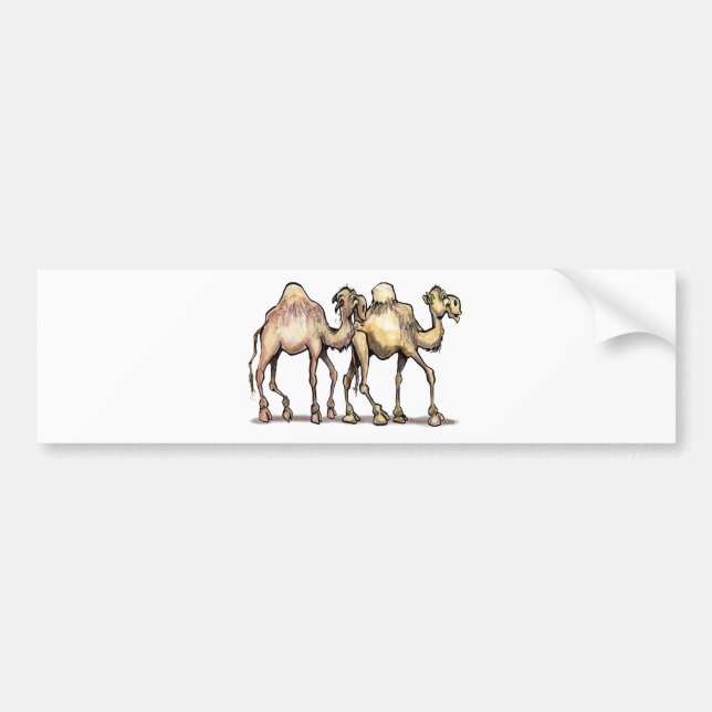 Camels Bildekal (Framsidan)