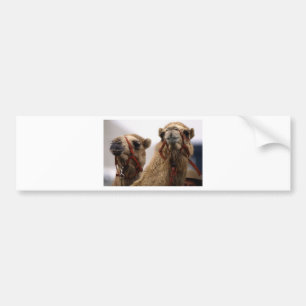 Camels Bildekal