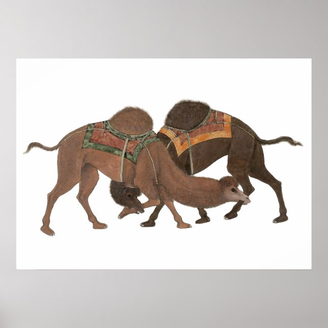 Camels Biting- Masti Poster (Framsidan)