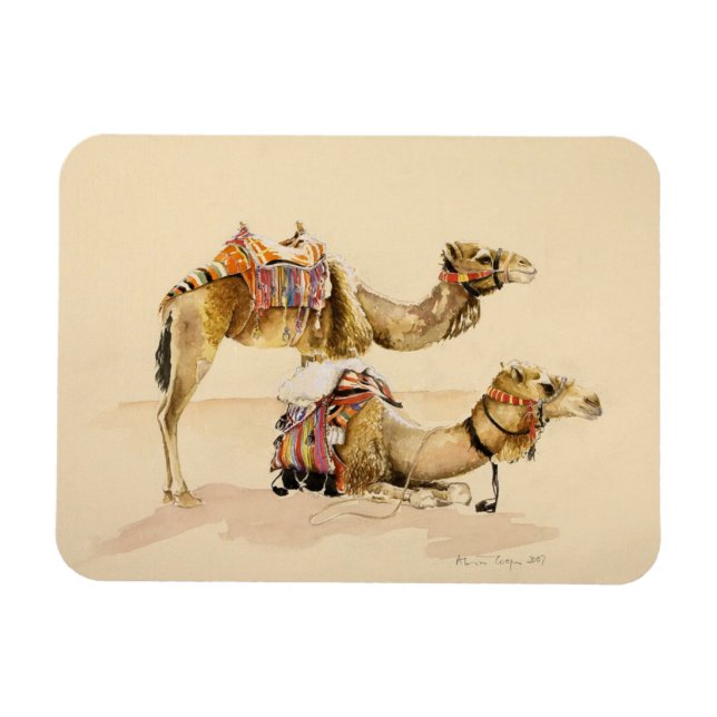 Camels från Petra 2007 Magnet (Horisontell)