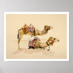 Camels från Petra 2007 Poster