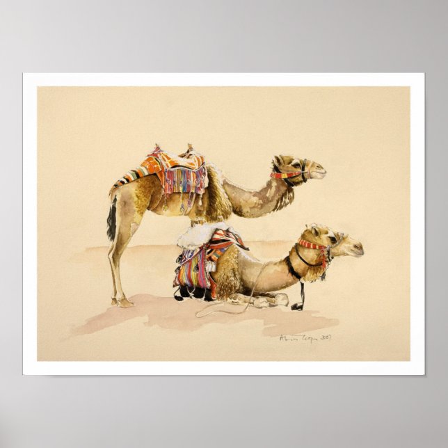 Camels från Petra 2007 Poster (Framsidan)