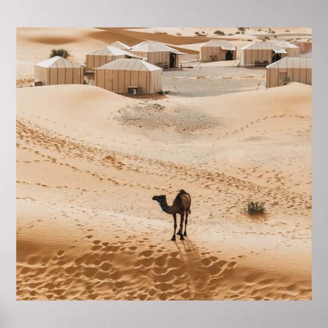 Camels Glamping: Moroccan Desert Luxury Poster (Framsidan)