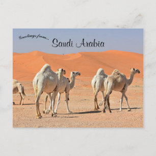 Camels i Desert Saudiarabien Vykort