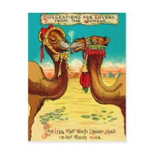 Camels i kärlek, lustig vintage St. Valentiness