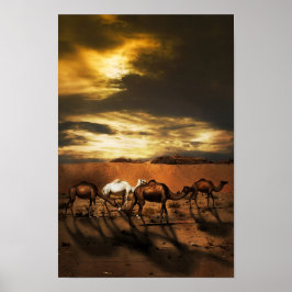 Camels i öknen poster