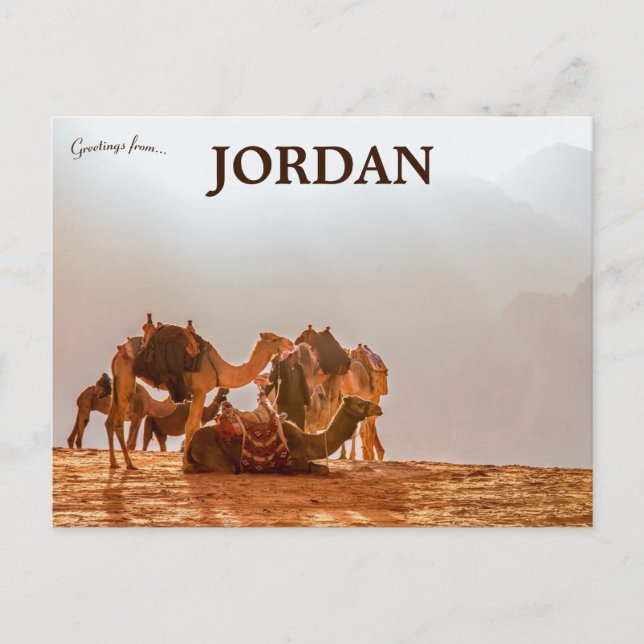 Camels in the Desert in Jordan Vykort (Framsida)