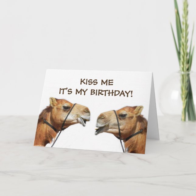Camels Kissing Funny Greeting Card Kort (Framsida)