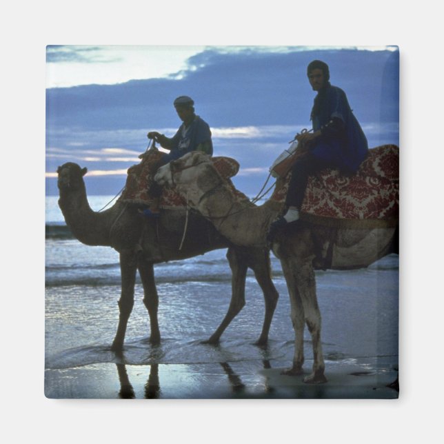Camels, Marocko Magnet (Framsidan)