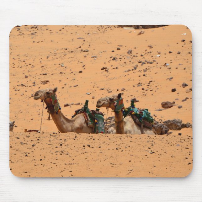 Camels Musmatta (Framsidan)