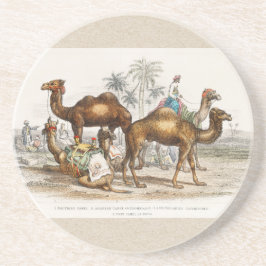 Camels of India Vintage Illustration, 1820 Underlägg