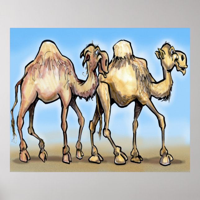 Camels Poster (Framsidan)