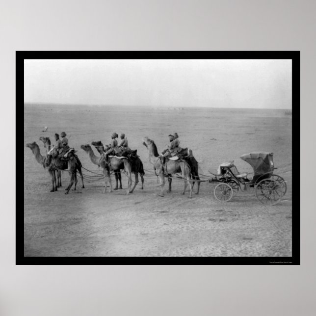 Camels Pulling a Carriage over the Sahara 1901 Poster (Framsidan)