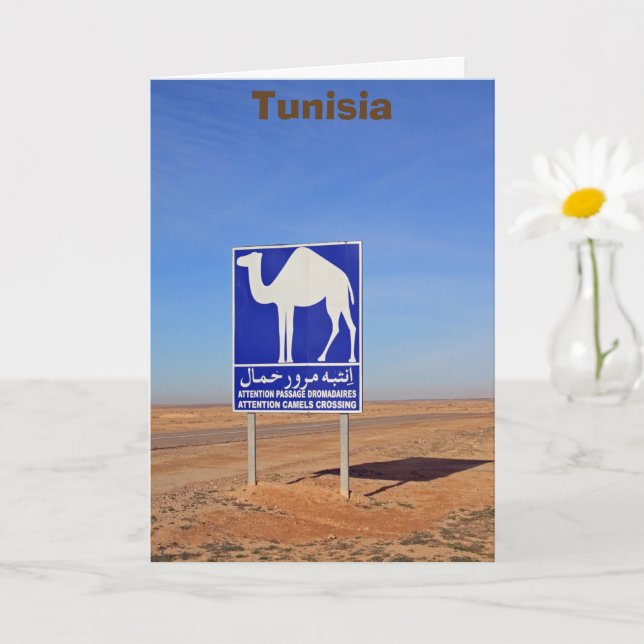 Camels-skylt, Tunisien Kort (Liten växt)
