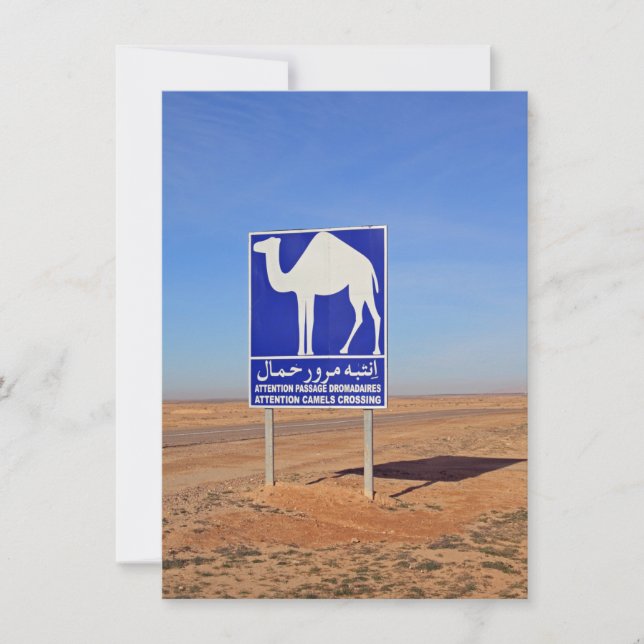 Camels-skylt, Tunisien, kort (Framsida)