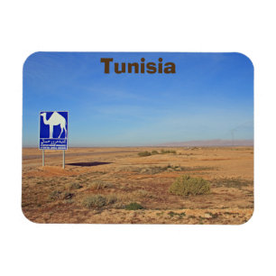 Camels-skylt, Tunisien Magnet
