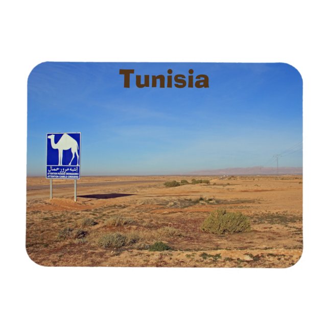Camels-skylt, Tunisien Magnet (Horisontell)