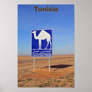 Camels-skylt, Tunisien Poster