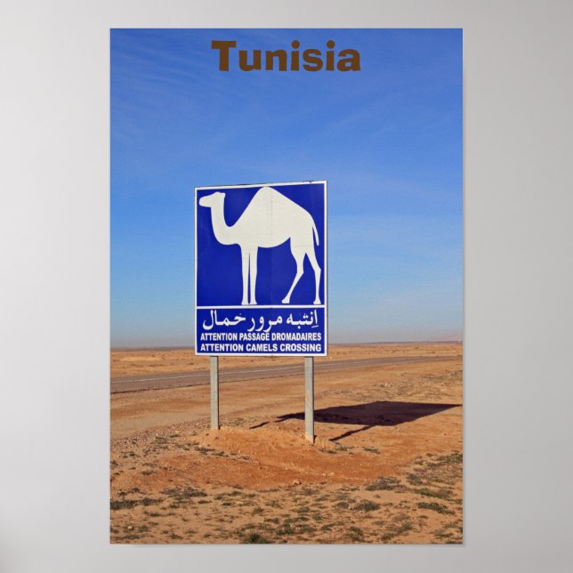 Camels-skylt, Tunisien Poster (Framsidan)