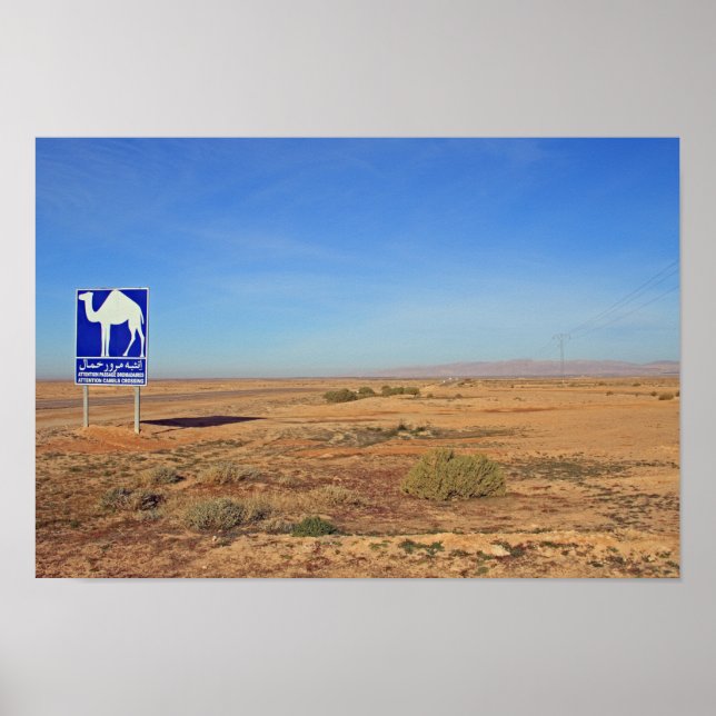 Camels-skylt, Tunisien Poster (Framsidan)
