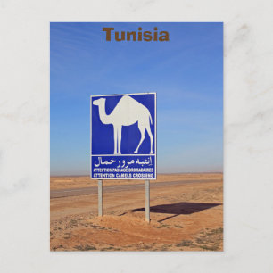 Camels-skylt, Tunisien Vykort