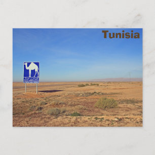 Camels-skylt, Tunisien Vykort