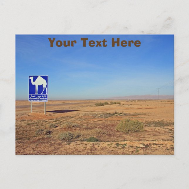 Camels-skylt, Tunisiskt anpassade-vykort Vykort (Framsida)