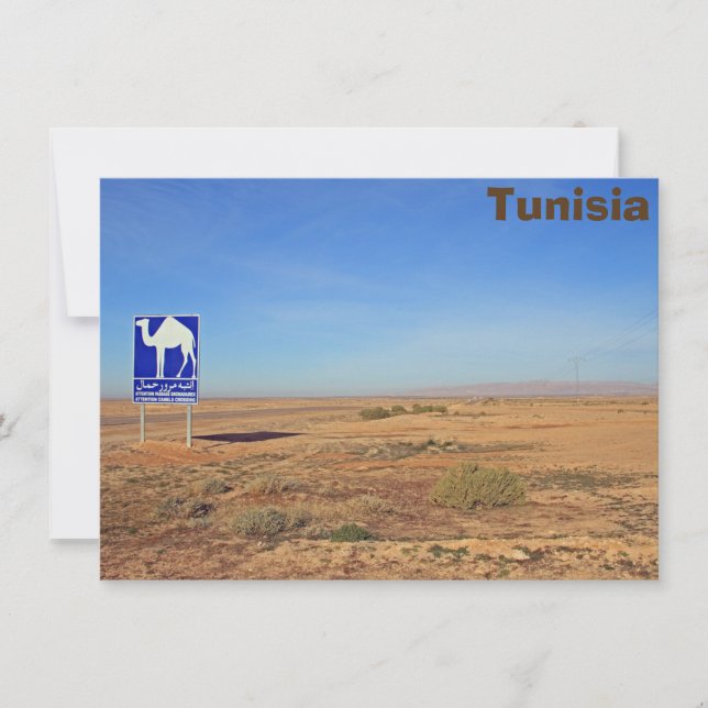 Camels-skylt, tunisiskt kort (Framsida)