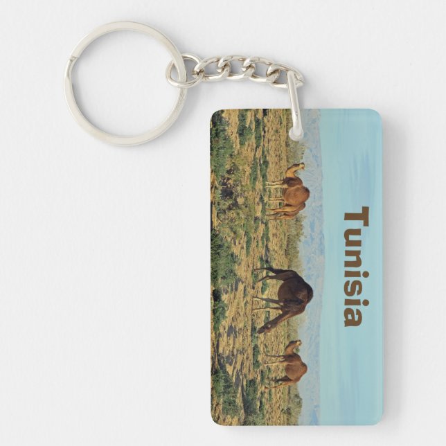 Camels, Tunisien (Framsidan)