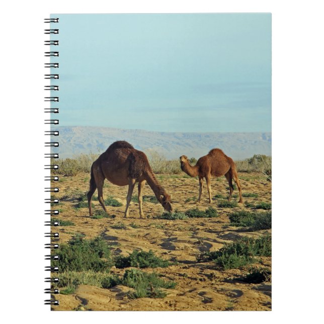 Camels, Tunisien Anteckningsbok (Framsidan)
