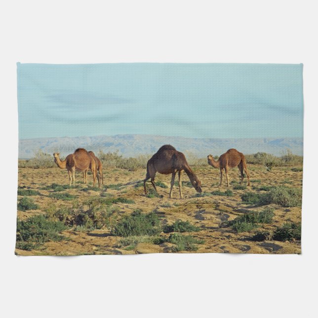 Camels, Tunisien Kökshandduk (Horisontell)