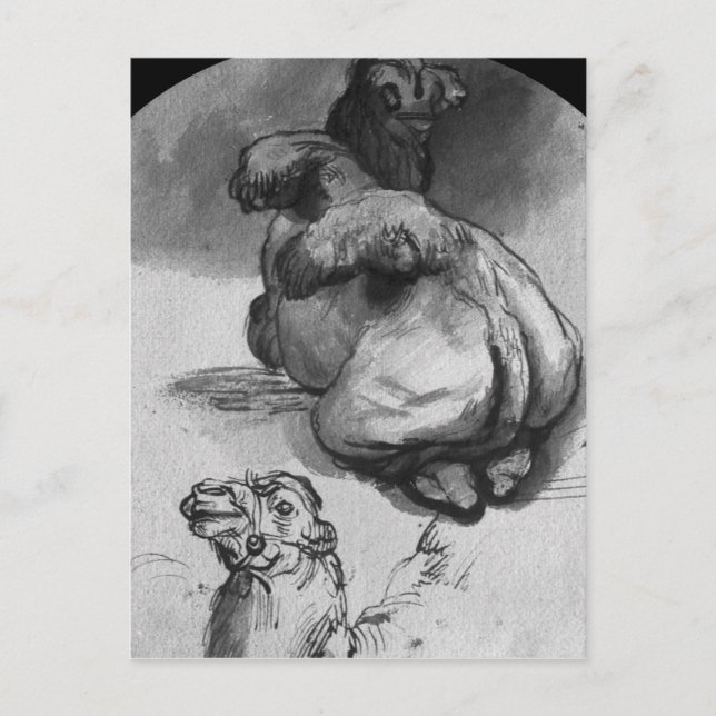 Camels Vykort (Framsida)