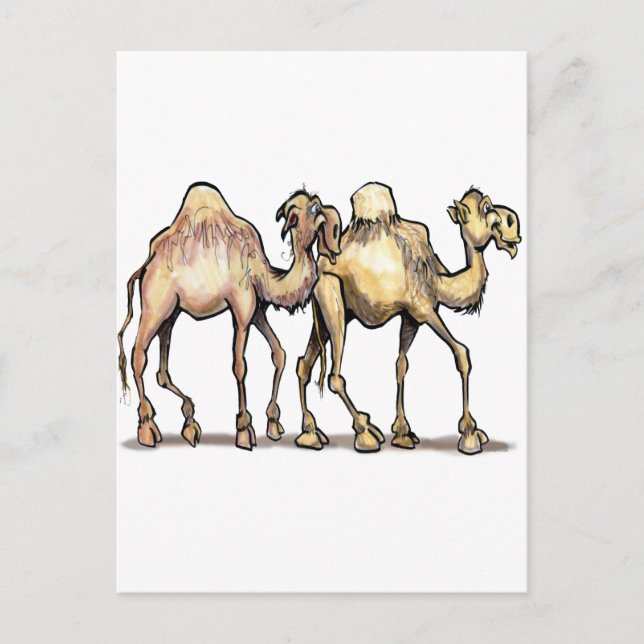 Camels Vykort (Framsida)