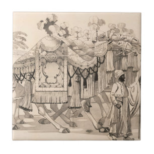 Camels Walking Dsed in Costume Kakelplatta