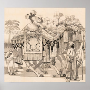 Camels Walking Dsed in Costume Poster