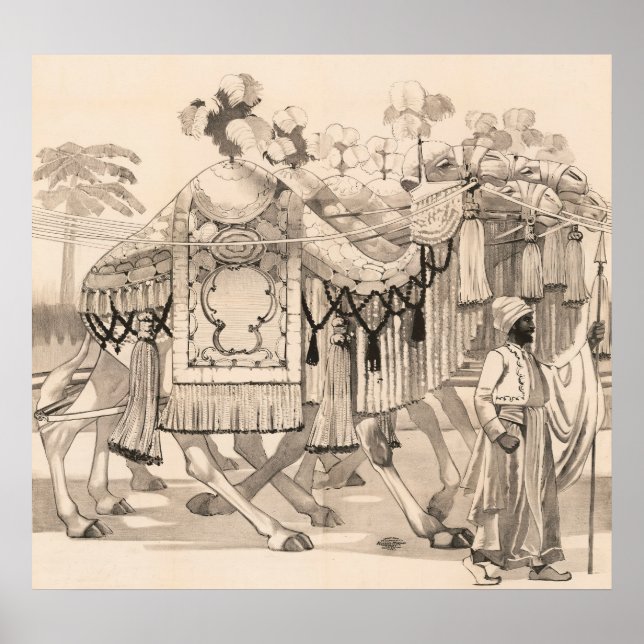 Camels Walking Dsed in Costume Poster (Framsidan)