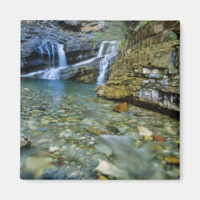 Cameron Falls i Waterton Lakes nationalpark i Magnet (Framsidan)
