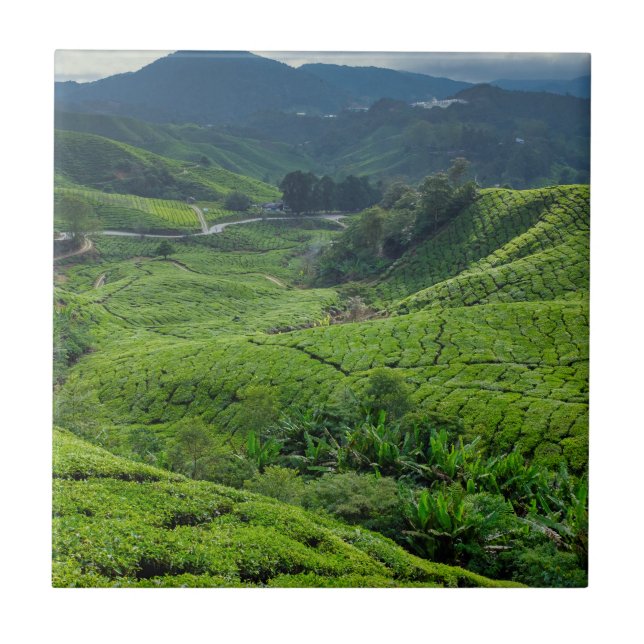 Cameron Highlands Tea Plantation Kakelplatta (Framsidan)