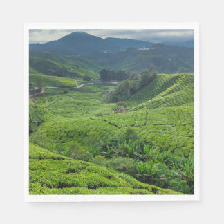 Cameron Highlands Tea Plantation Pappersservett