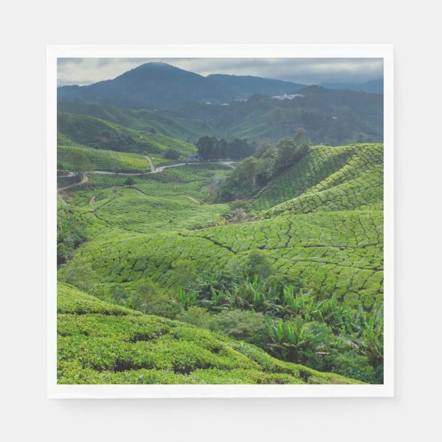Cameron Highlands Tea Plantation Pappersservett (Framsidan)