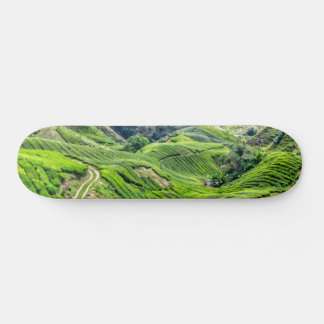 Cameron Highlands Teplantage Mini Skateboard Bräda 18,5 Cm