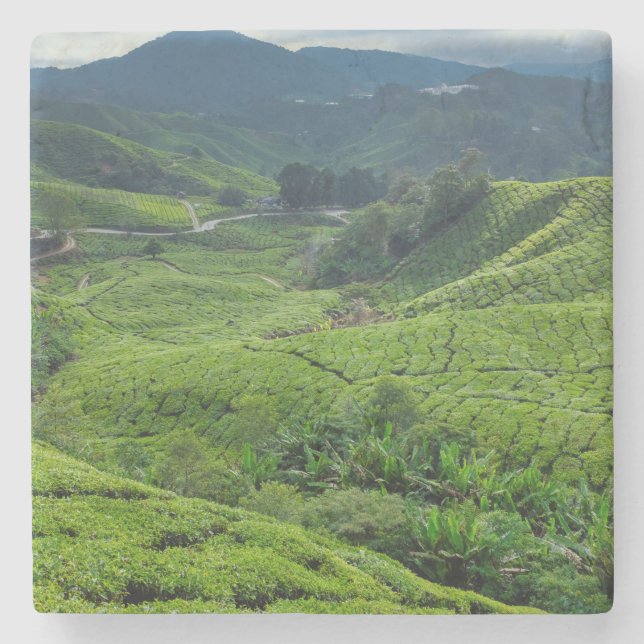 Cameron Highlands Teplantage Stenunderlägg (Framsidan)