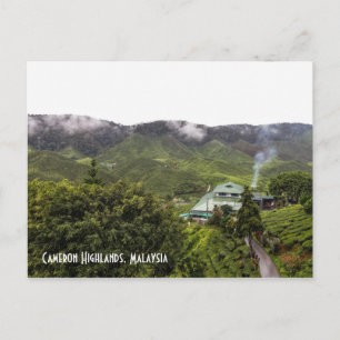 Cameron Highlands teplantering, Malaysia Vykort