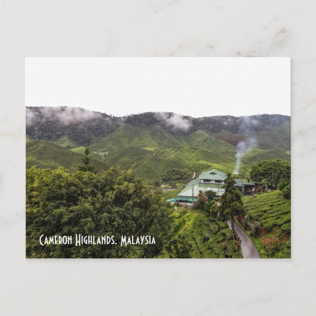 Cameron Highlands teplantering, Malaysia Vykort (Framsida)