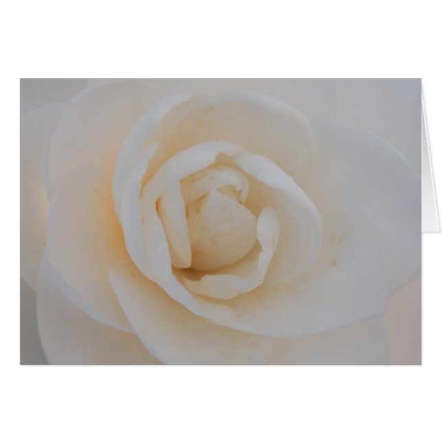 Camilla Bliss Hälsningskort (Framsidan Horizontal)