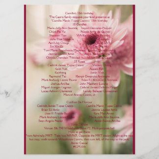 CAMILLE 18:E PROGRAM