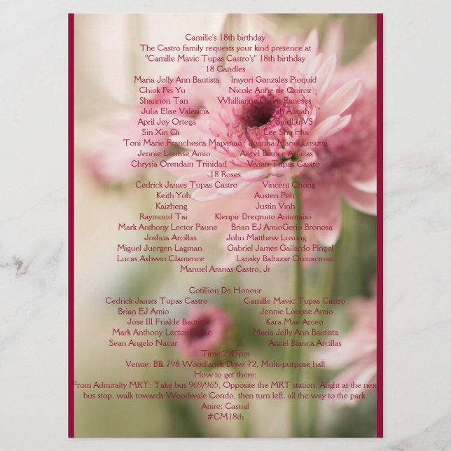 CAMILLE 18:E PROGRAM (Framsida)