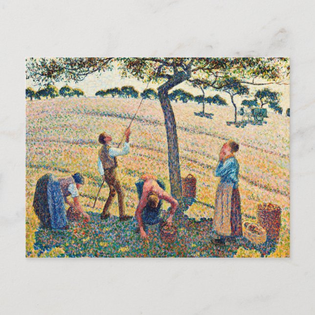 Camille Pissarro - Apple Harvest Vykort (Framsida)